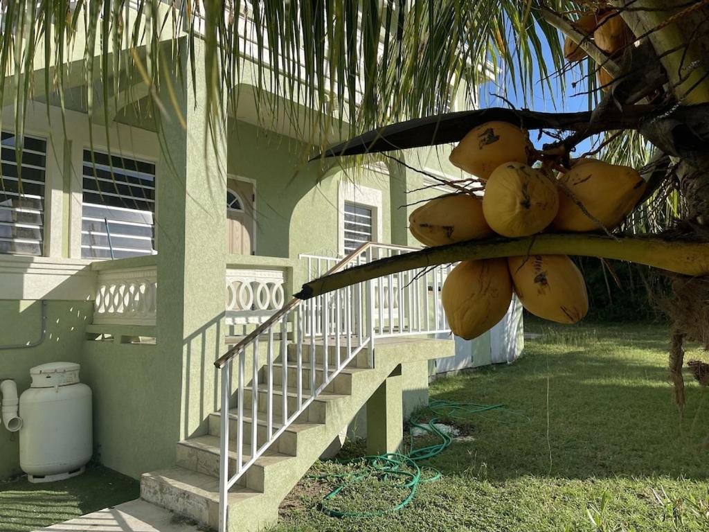 Barrenspot Tropical Villa Christiansted Exterior photo